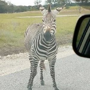 Meet your Posher, Vanessah